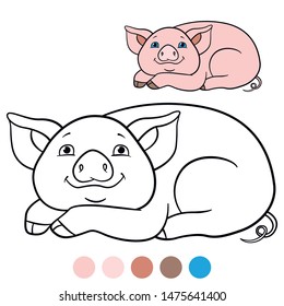 Color me: farm animals. Little cute piglet lays and smiles.