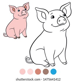 Color me: farm animals. Little cute piglet sits and smiles.