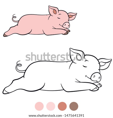Color me: farm animals. Little cute piglet sleeps and smiles.