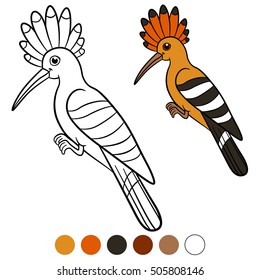 Color me: hoopoe. Cute beautiful hoopoe sits and smiles.