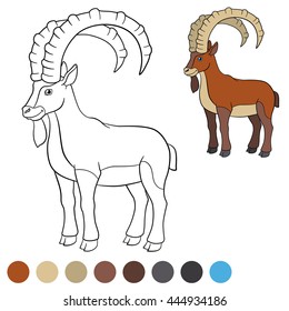Color me: ibex. Cute ibex with great horns smiles.