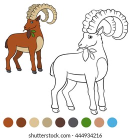 Color me: ibex. Cute ibex with great horns eat lives and smiles.
