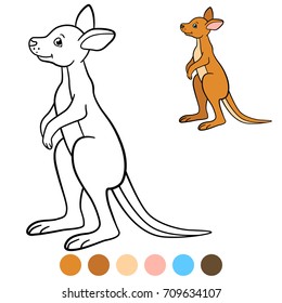 Color me: kangaroo. Little cute baby kangaroo stands and smiles.