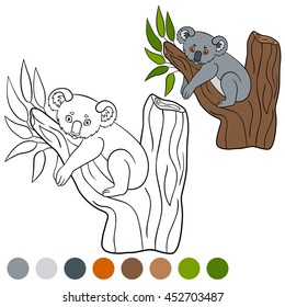 Color me: koala. Little cute baby koala sits on the tree branch and smiles.