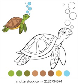 Color me: marine animals. Cute smiling green sea turtle swims underwater with bubbles.