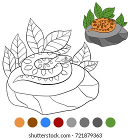 Color me: viper. Little cute viper lies on the stone.