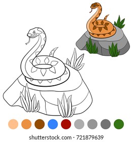 Color me: viper. Little cute viper lies on the stone.