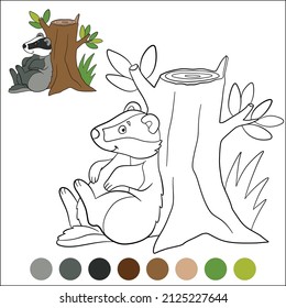 Color me: wild animals. Little cute gray badger sits near the stump and smiles.