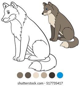 Color me: wolf. Cute beautiful wolf sits and smiles.