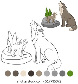 Color me: wolf. Father wolf howls with his little cute baby.