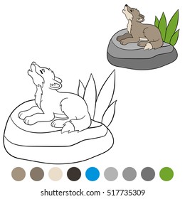 Color me: wolf. Little cute baby wolf lies on the stone and howling.