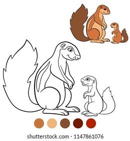 Color me: xerus. Mother xerus with her little cute baby.