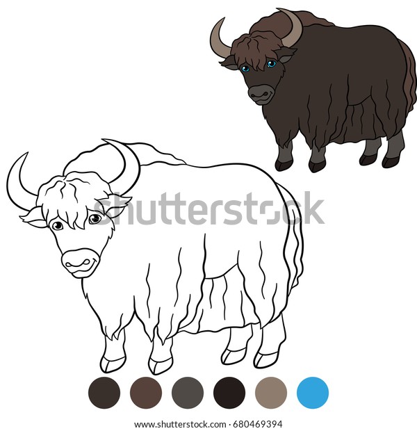 color me yak cute beautiful yak stock vector royalty free 680469394 https www shutterstock com image vector color me yak cute beautiful stands 680469394