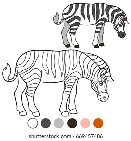 Color me: zebra. Cute beautiful zebra stands and smiles.