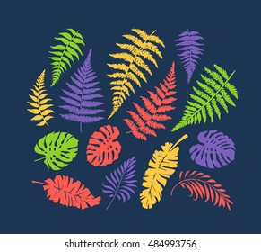 Color monochromatic isolated palm, fern, monstera leaves' collection, tropical botanical set of vector design elements.  Not auto trace. 