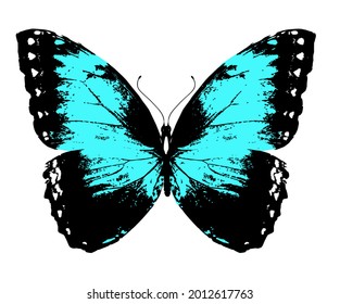 Color Morpho butterfly , isolated on the white background. Vector