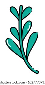 color natural herb plant organic ingredient
