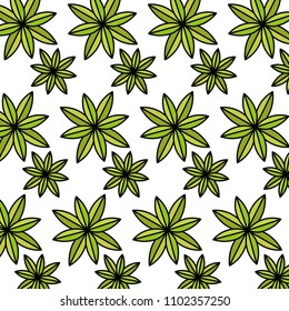 color natural tropical plant leaves background