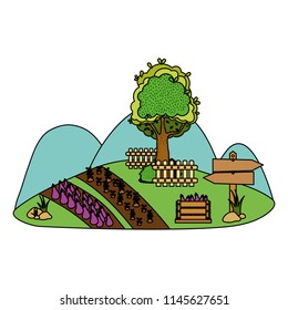 color nature farm with organic products and tree