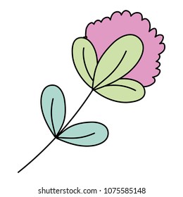 color nature flower plant exotic style