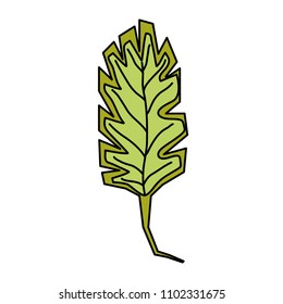 color nature spring leaf exotic design