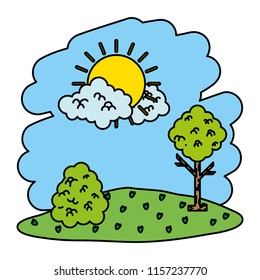 color nature sun with clouds and tree landscape