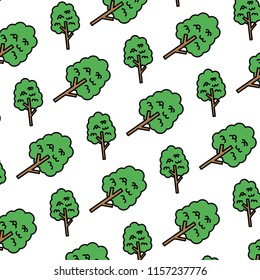 color nature tree leaves stalk background