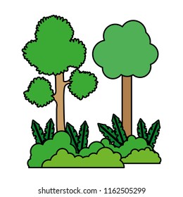 color nature trees with branches and bushes plant