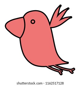 color nice bird fauna animal
