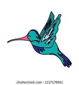 color nice exotic bird animal flying