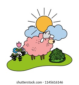 color nice sheep animal walking farm