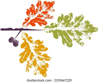 Color oak branch with leaf stamp. Imprint of fallen leaves. Autumn pattern. Creative natural decor. Hand-crafted vector art prints. Seasonal modern packaging.