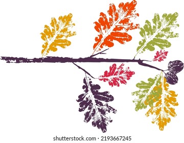 Color oak branch with leaf stamp. Imprint of fallen leaves. Autumn pattern. Creative natural decor. Hand-crafted vector art prints. Seasonal modern packaging.