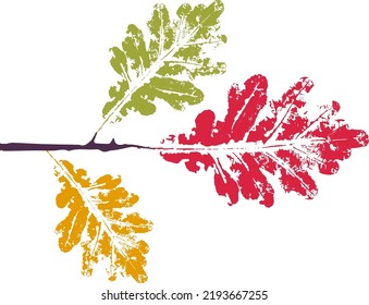 Color oak branch with leaf stamp. Imprint of fallen leaves. Autumn pattern. Creative natural decor. Hand-crafted vector art prints. Seasonal modern packaging.