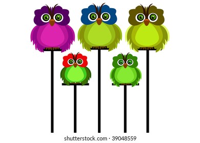 color owl