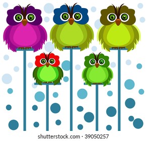 color owl