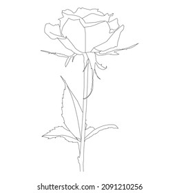 Color page Flower line drawing