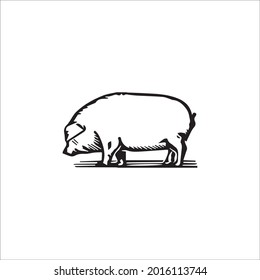 color page pig line art