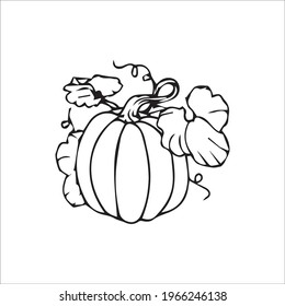 color page pumkin line art