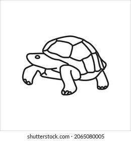 color page tortoise line art