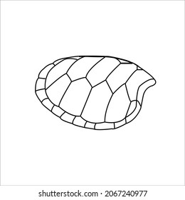 color page tortoise line art