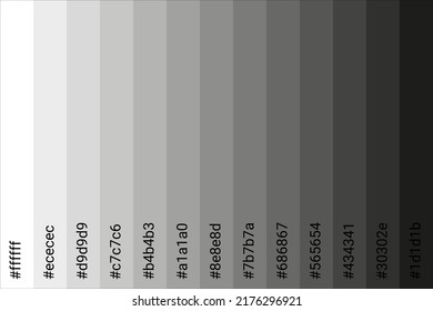 color palette Black to White and color code  Tone color guide  Vector illustration EPS 10 File 