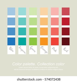 Color palette. Collection color. Vector illustration, EPS10