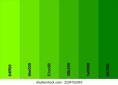 Color palette dark green to light green with color code. Tone color guide. Vector illustration EPS 10 File.
