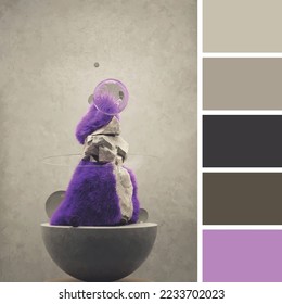 color palette of color harmony from photos