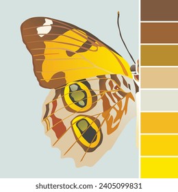 Color Palette insect with butterfly