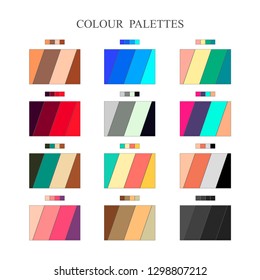 Color Palette, Color Schemes, Warm Colors, Cool Colors, Spectrum. Flat Design, Vector Illustration, Vector.