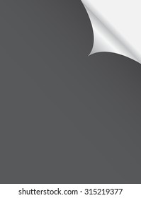 Color paper sticker  curl 