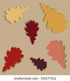 Color pattern of the autumn oak leaves.