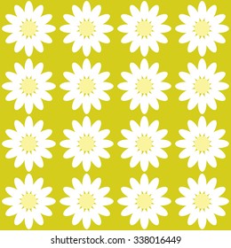 color pattern Daisy flower chamomile